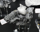   Bologna Mineral Show