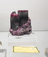   Bologna Mineral Show