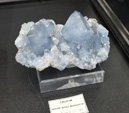   Bologna Mineral Show