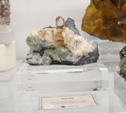    Bologna Mineral Show