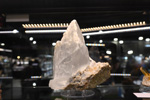   Bologna Mineral Show