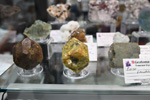    Bologna Mineral Show