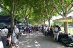  51º Bourse Internationale Minéraux et Fossiles. Millau. Francia 