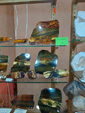  41ª feria de minerales y fósiles de Narbona 