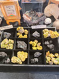  41ª feria de minerales y fósiles de Narbona 