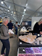 Tucson Gem and Mineral Show 2024