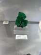 Tucson Gem and Mineral Show 2024