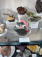 Tucson Gem and Mineral Show 2024