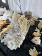 Tucson Gem and Mineral Show 2024