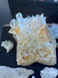 Tucson Gem and Mineral Show 2024