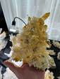 Tucson Gem and Mineral Show 2024