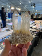 Tucson Gem and Mineral Show 2024