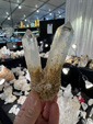 Tucson Gem and Mineral Show 2024