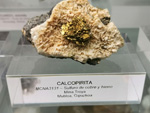 Museo de Ciencias Naturales de Álava