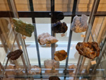 Museo de Minerales de Euskalduna