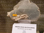 Museo de Minerales de Euskalduna