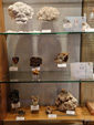 Museo de Minerales de Euskalduna